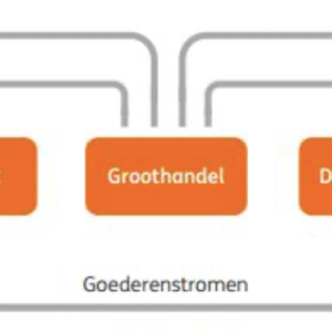 Masterclass Bewegingen in de bedrijfskolom
